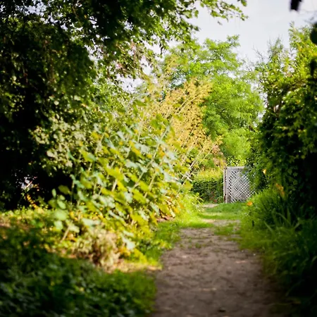 Bed & Breakfast Kuznia Palacowa