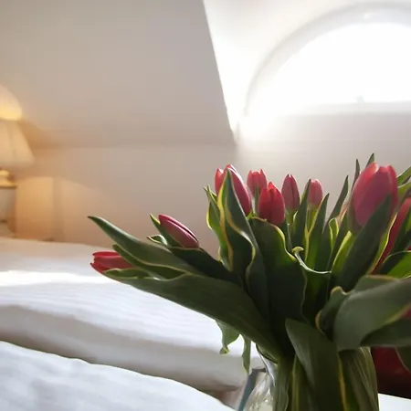 Kuznia Palacowa Bed & Breakfast