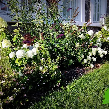 Bed & Breakfast Kuznia Palacowa 4*