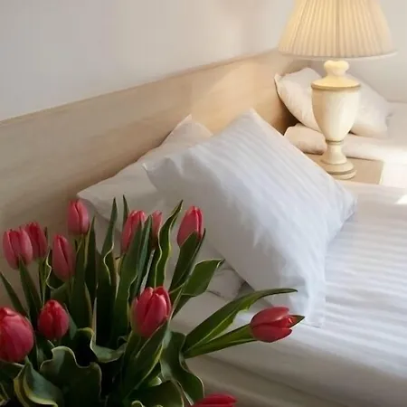 Bed & Breakfast Kuznia Palacowa Korczew