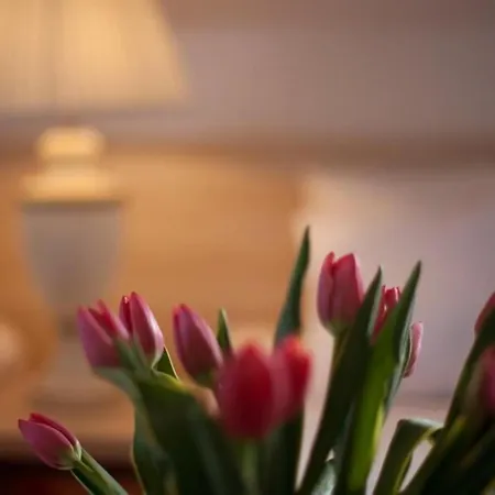 Kuznia Palacowa Bed & Breakfast Korczew